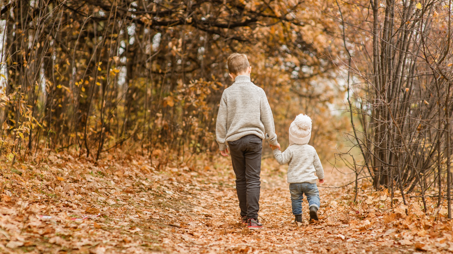 Adult and toddler in warm layers walking hand in hand through autumn leaves in a woodland