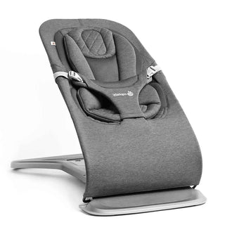 Ergobaby Evolve 3-in-1 Bouncer Seat Multi Position Baby Fits Newborns Toddler Charcoal Grey