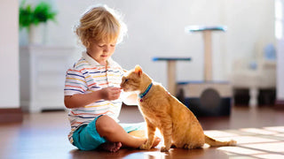Pet and toddler in the same time ? Why not?