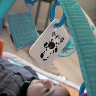 Baby Einstein Music & Language Discovery Gym