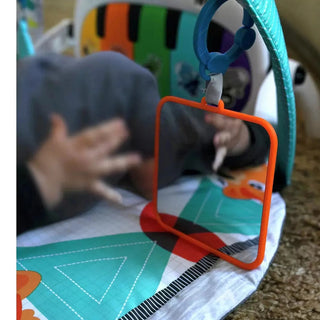 Baby Einstein Music & Language Discovery Gym