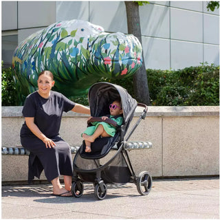 Red Kite Push Me Pace i Baby Travel System Icon