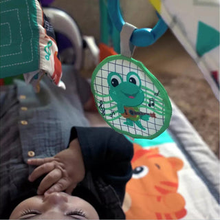 Baby Einstein Music & Language Discovery Gym