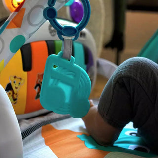 Baby Einstein Music & Language Discovery Gym