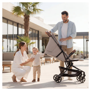 Hauck Lite N Care Carbon Travel Stroller