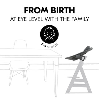 Hauck Alpha+ Premium Bundle Wooden High Chair - Beech Grey