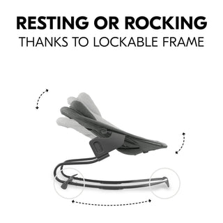 Hauck Alpha+ Premium Bundle Wooden High Chair - Beech Grey