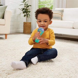 VTech Sing Songs Microphone